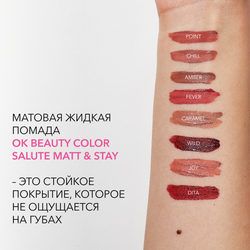 Матовая стойкая жидкая губная помада OK BEAUTY COLOR SALUTE MATT & STAY в оттенке POINT